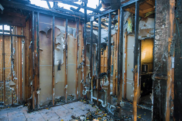 Professional Fire Damage Removal technician working in Wilson, PA