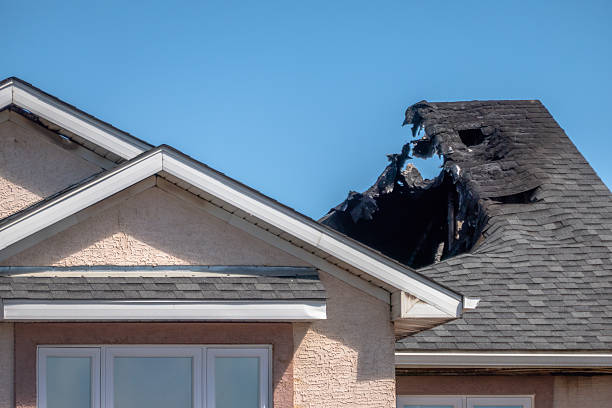 Top rated local Fire Damage Removal specialists in Wilson, PA